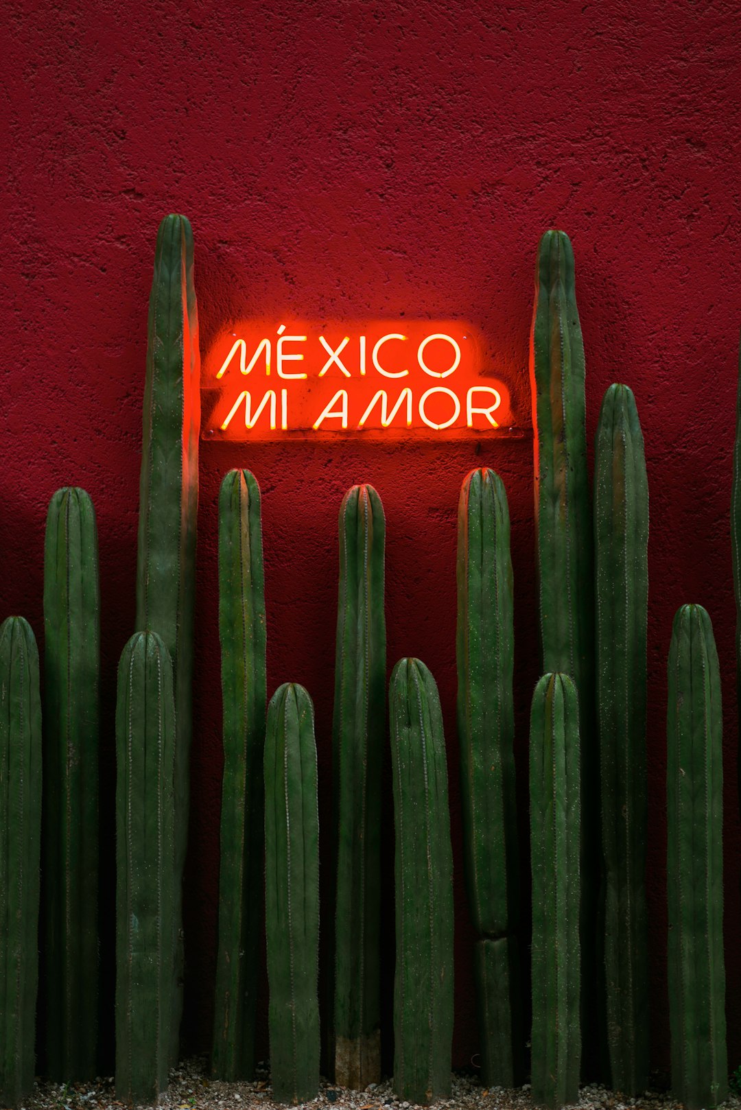 Cursos de Marketing Digital en México